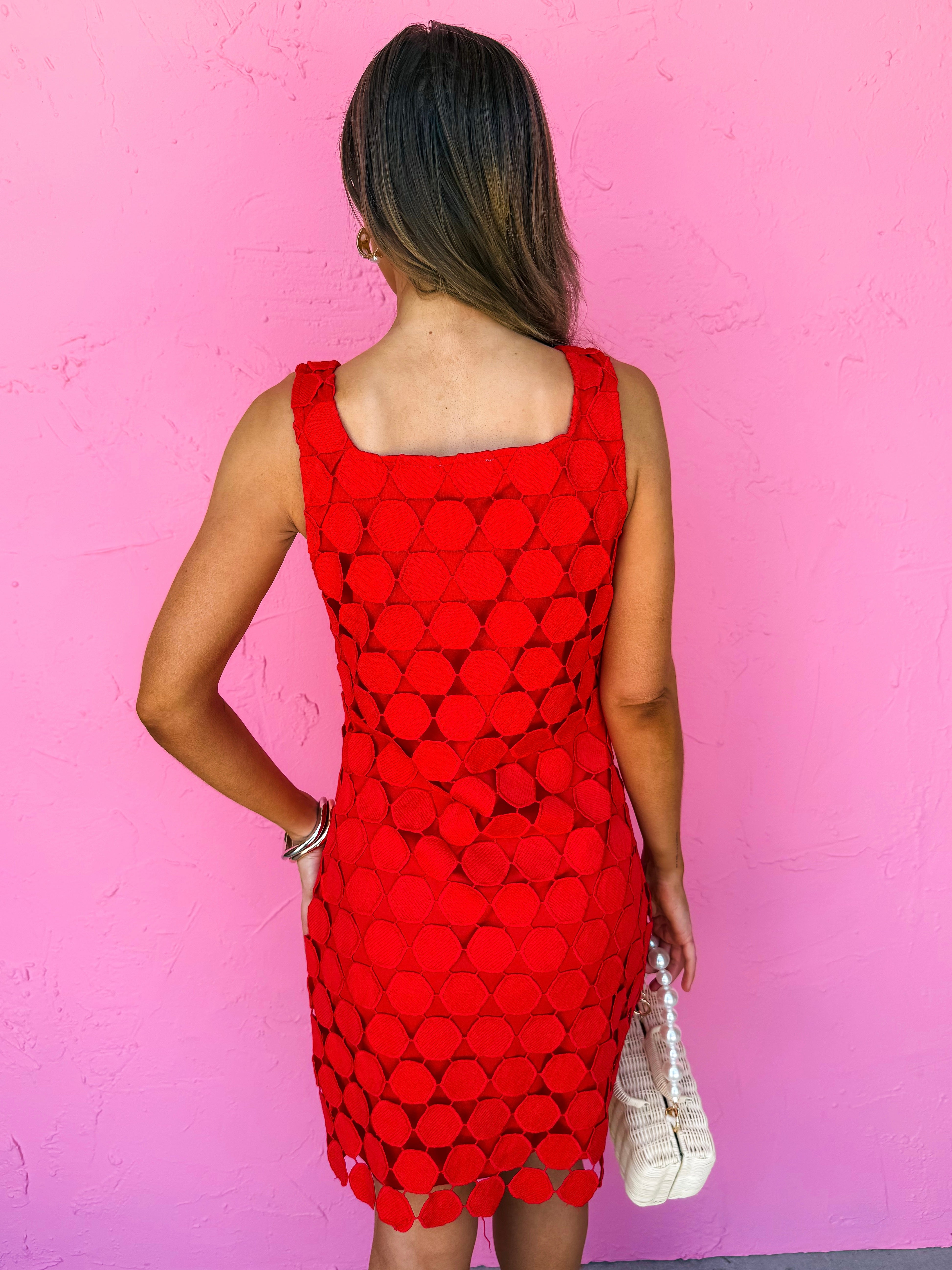 Peyton Sleeveless Lace Mini Dress