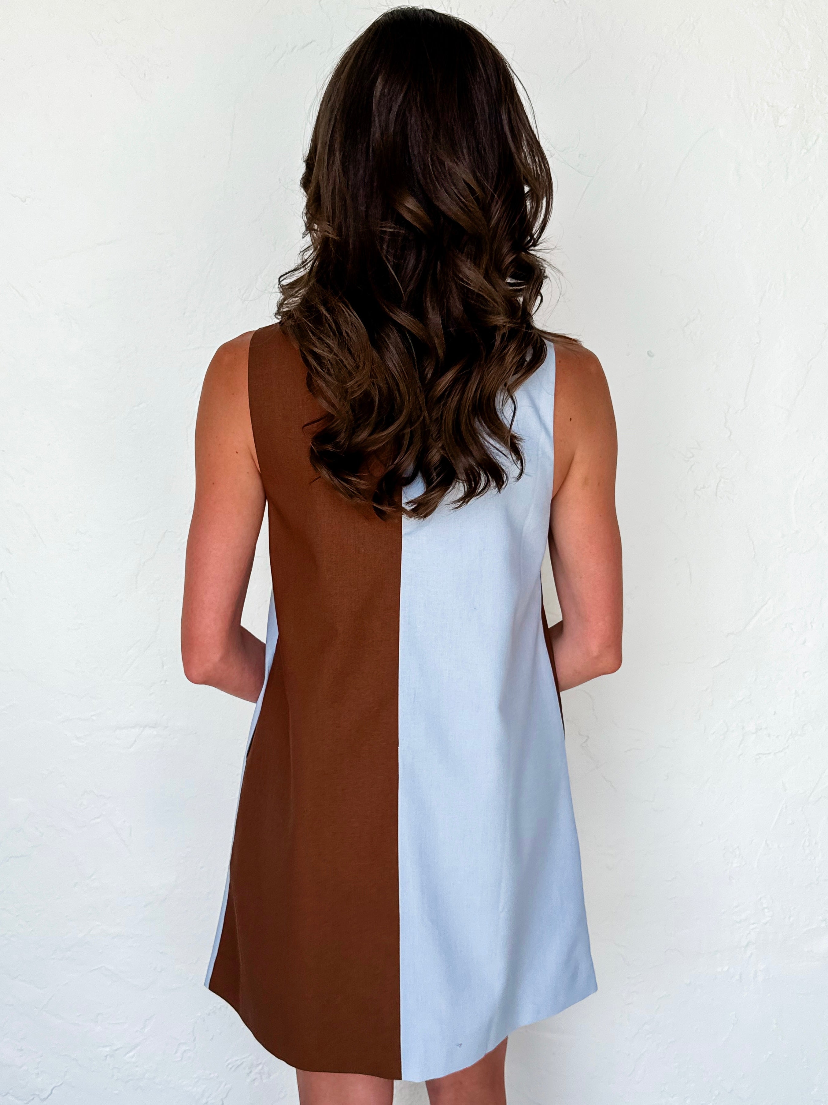 Tilly Color Block Sleeveless Shift Dress