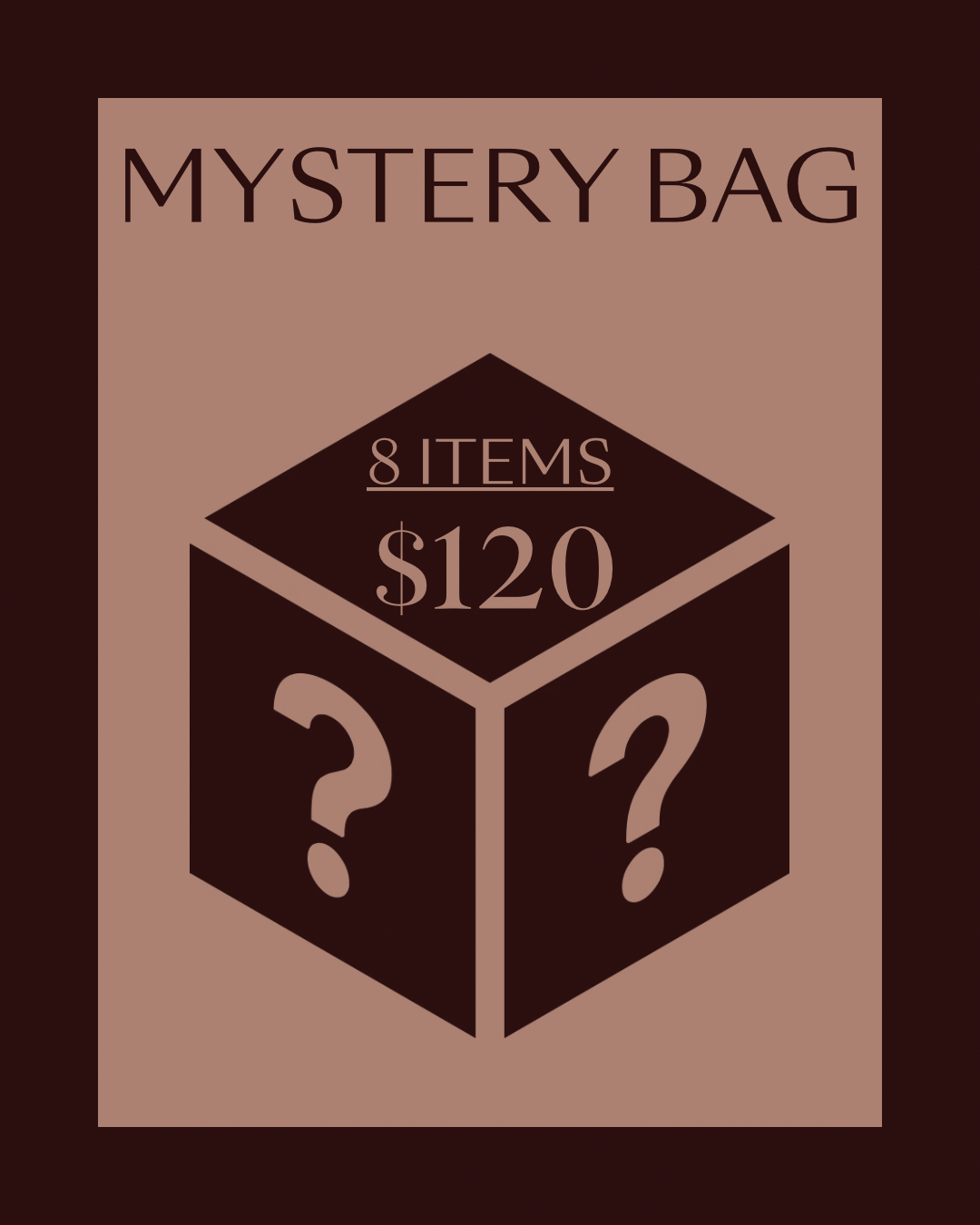 Mystery Bag- Large