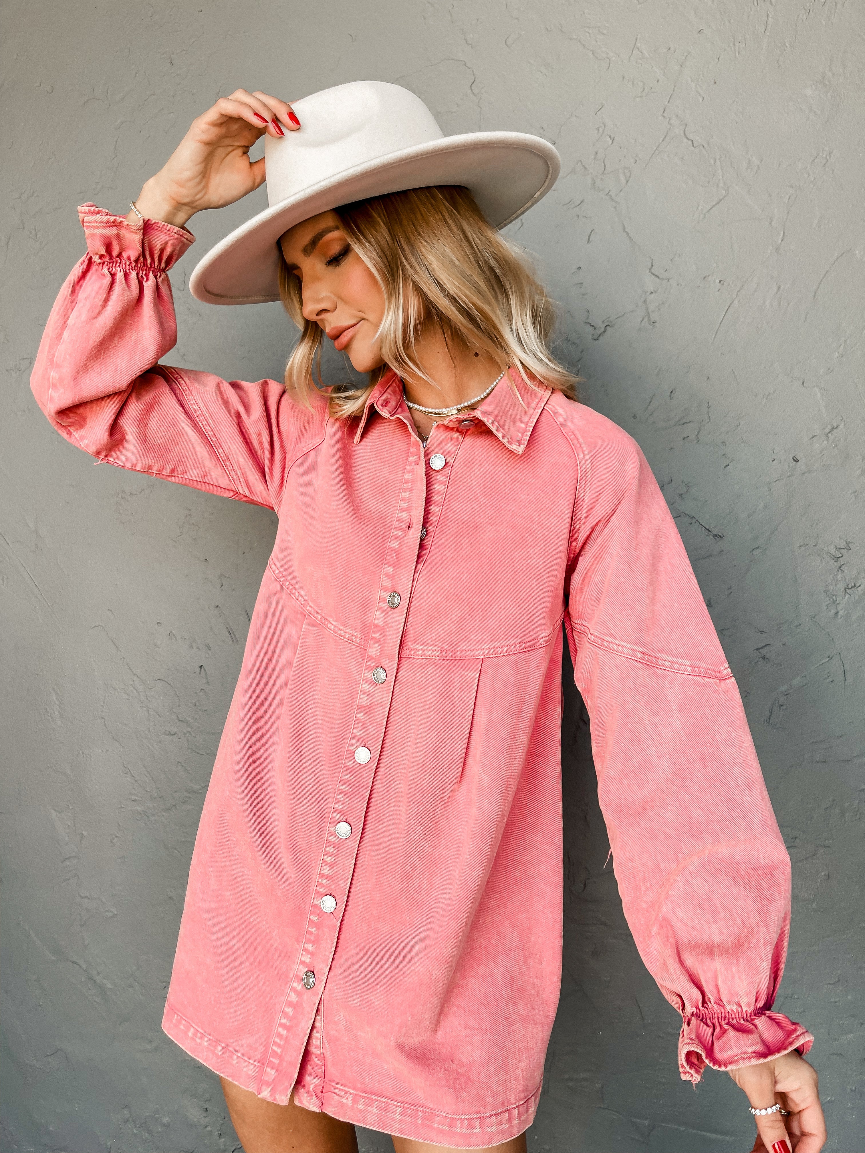 Westley Denim Button Front Dress-Pink
